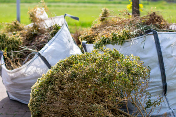 Best Appliance Removal Near Me  in Ettrick, VA